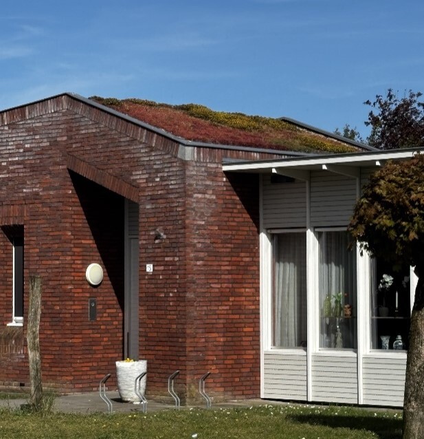 groen dak